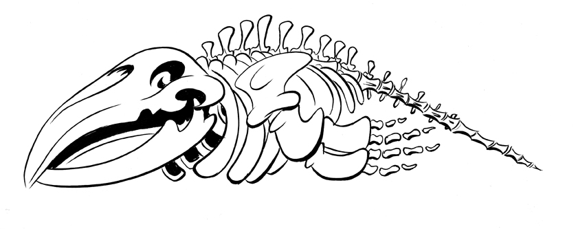 838x333 Whale Skeleton By Shaggy28