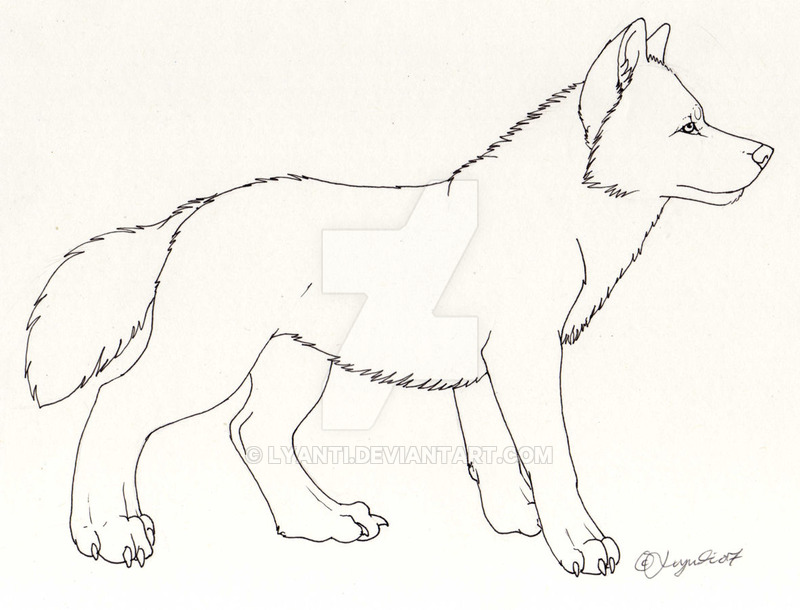 800x610 Grey Wolf By Lyanti