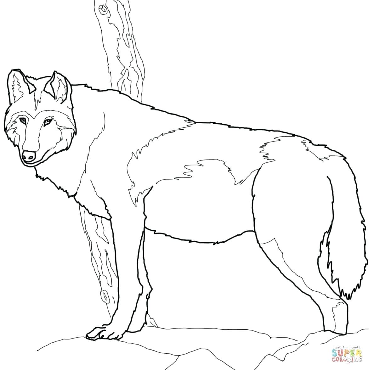 1172x1176 Coloring Gray Wolf Coloring Page Pages For Adults Scary Panda