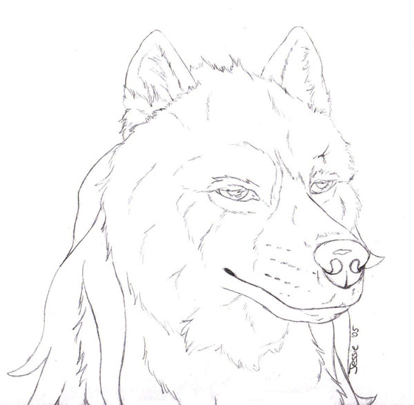 600x586 Gray Wolf By Silver Sky