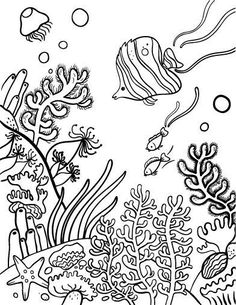 236x305 Drawing Underwater Coral Reef Coral Reef