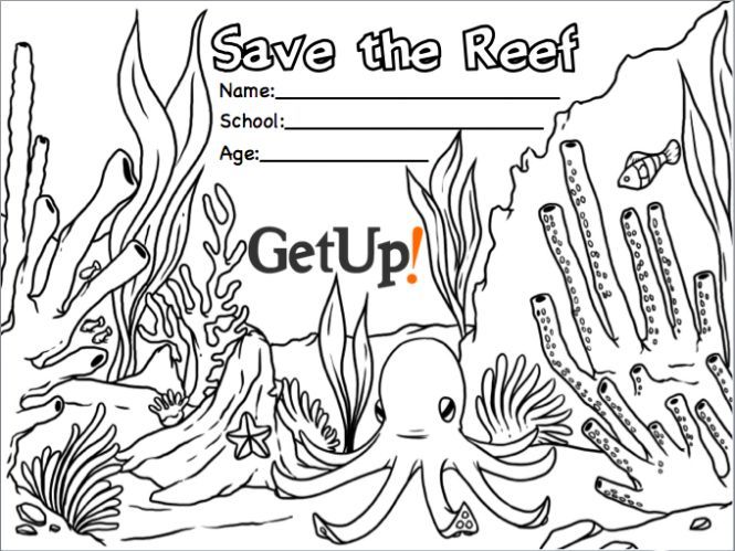 665x499 Great Barrier Reef Colouring Pictures Coloring Page For Kids