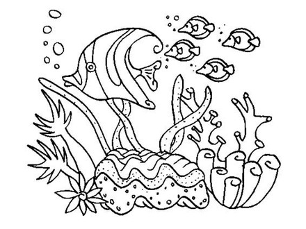 440x330 Pin Coral Reef Fish Color Page On , Reef Coloring Pages