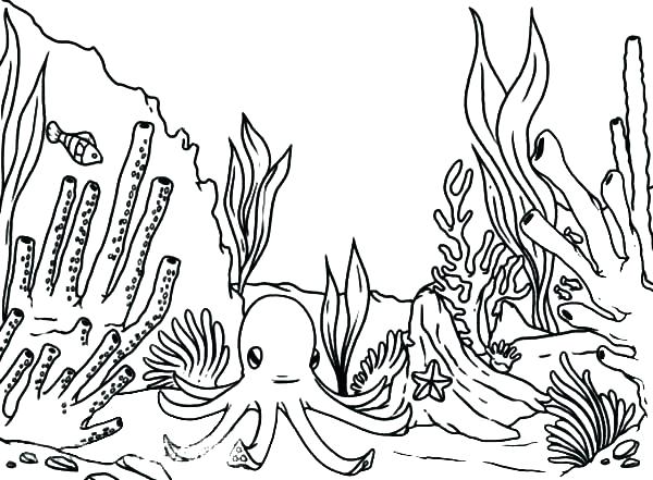 600x441 Plants Coloring Page Free Coloring Page Ocean Plants Coloring