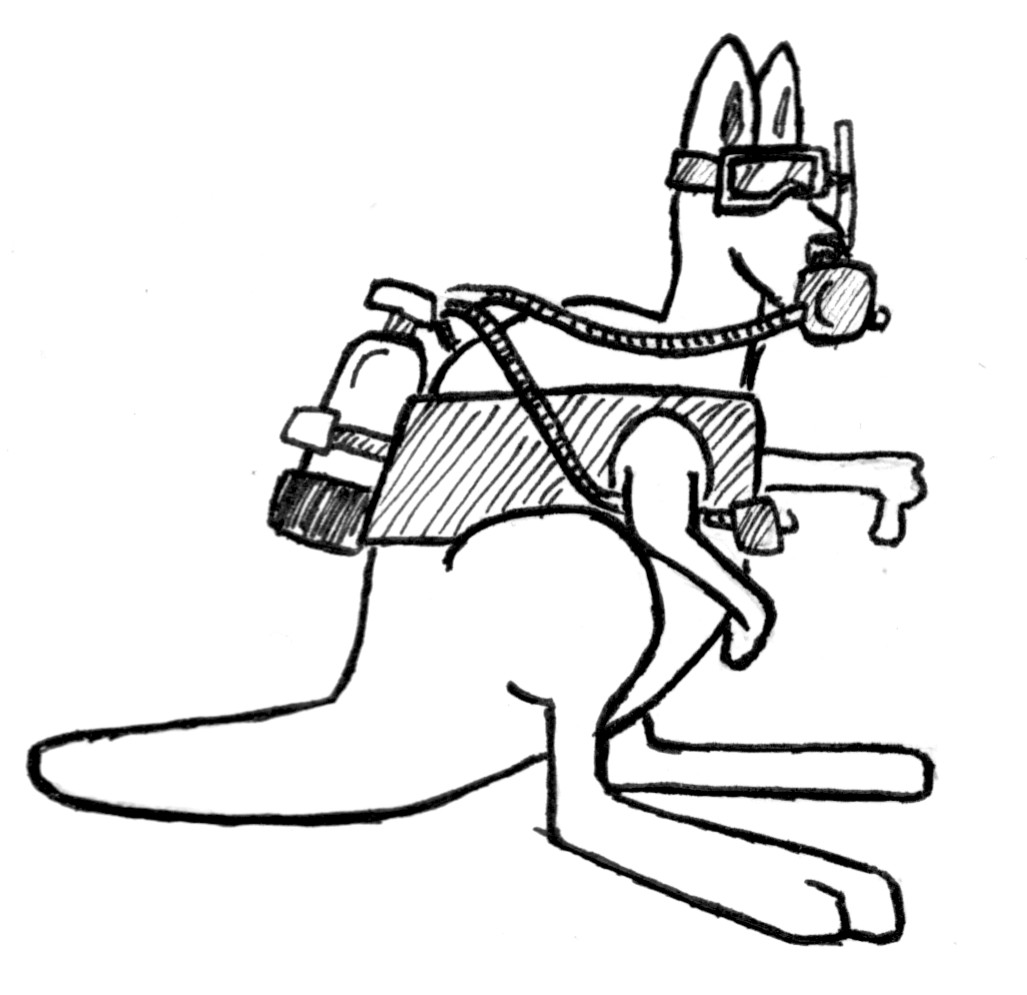 1027x995 The Great Oz Eddventure