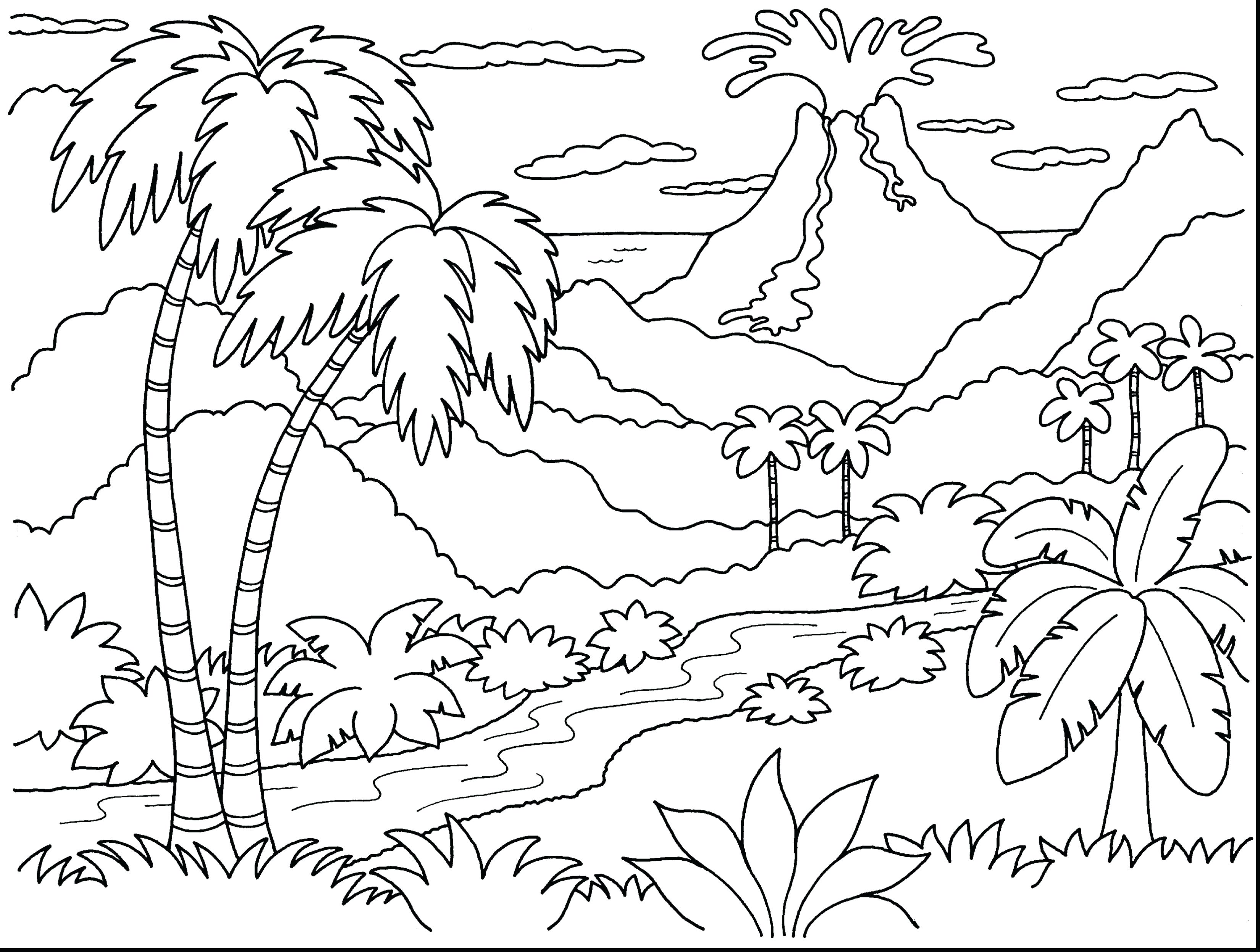 3300x2493 Coloring Flower Pot Coloring Pages Image Of Drawing Beautiful