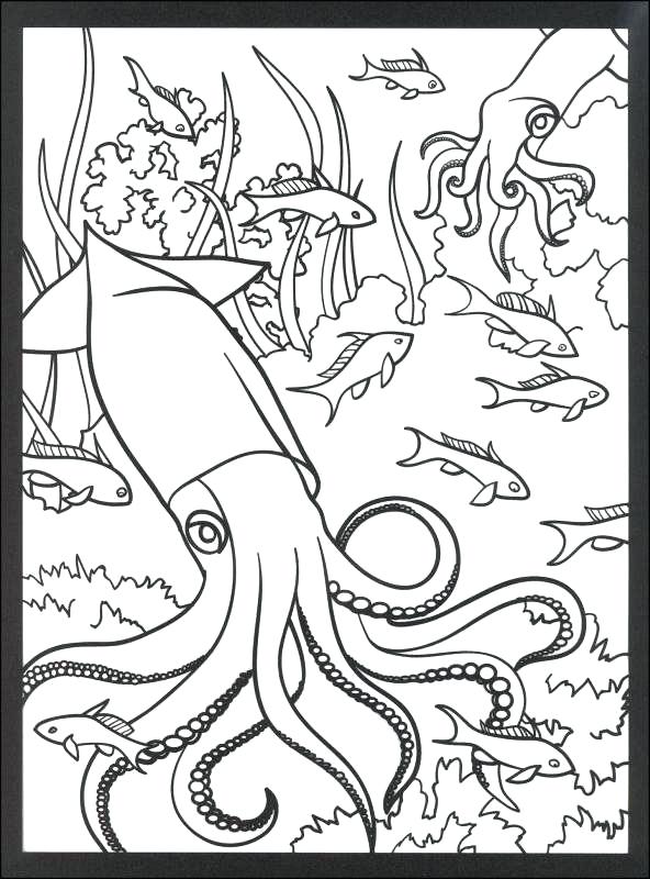592x800 Coral Reef Coloring Page