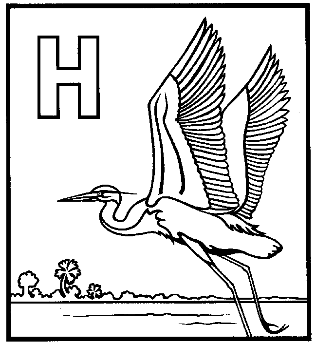 649x706 Great Blue Heron Coloring Page