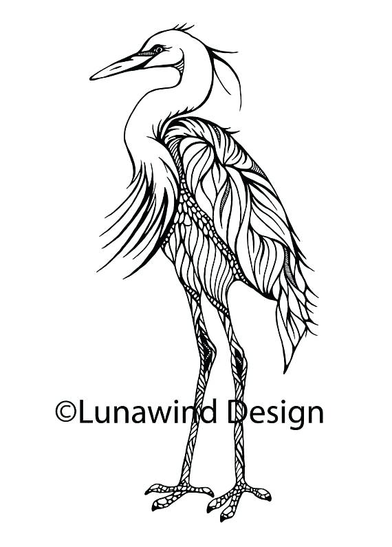 570x795 Amazing Great Blue Heron Coloring Page Image Crane Bird Artwork