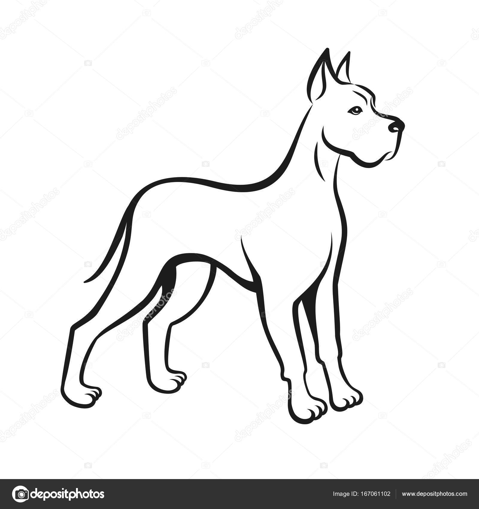 1600x1700 Dog Line Drawing Great Dane. Can Be Used As Pet Shop Logo