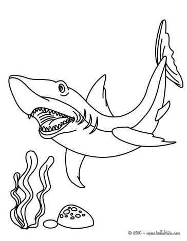 364x470 Great Hammerhead Shark Coloring Pages