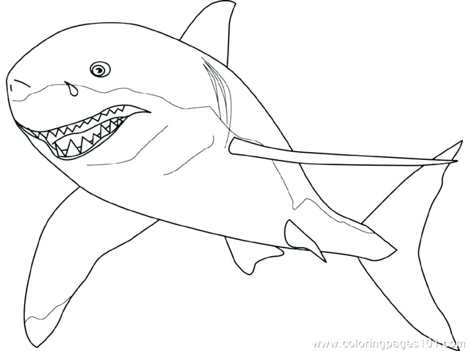 940x704 Shark Coloring Book Coloring Page Of Shark Shark Coloring Page