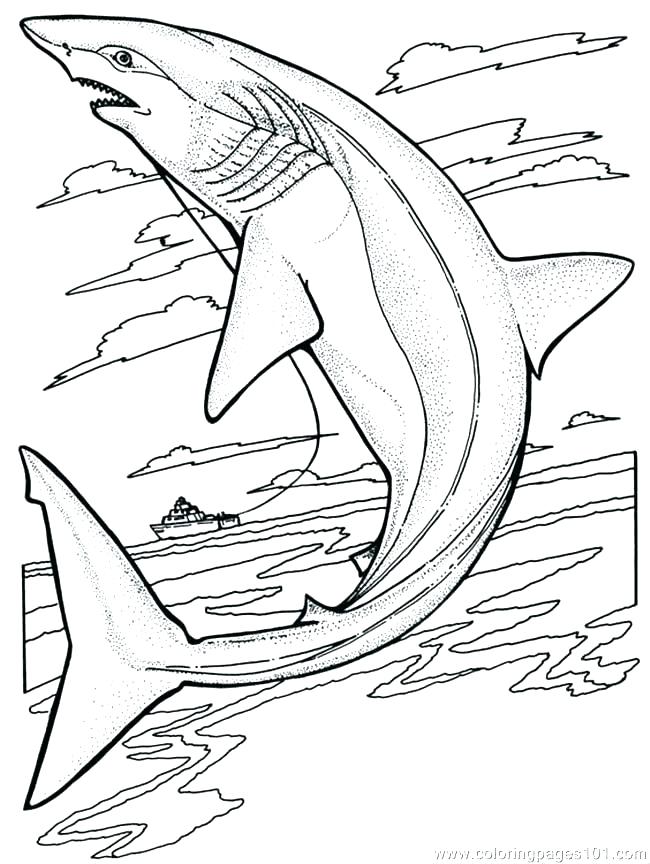 650x864 Shark Coloring Pages Printable Shark Coloring Book In Addition