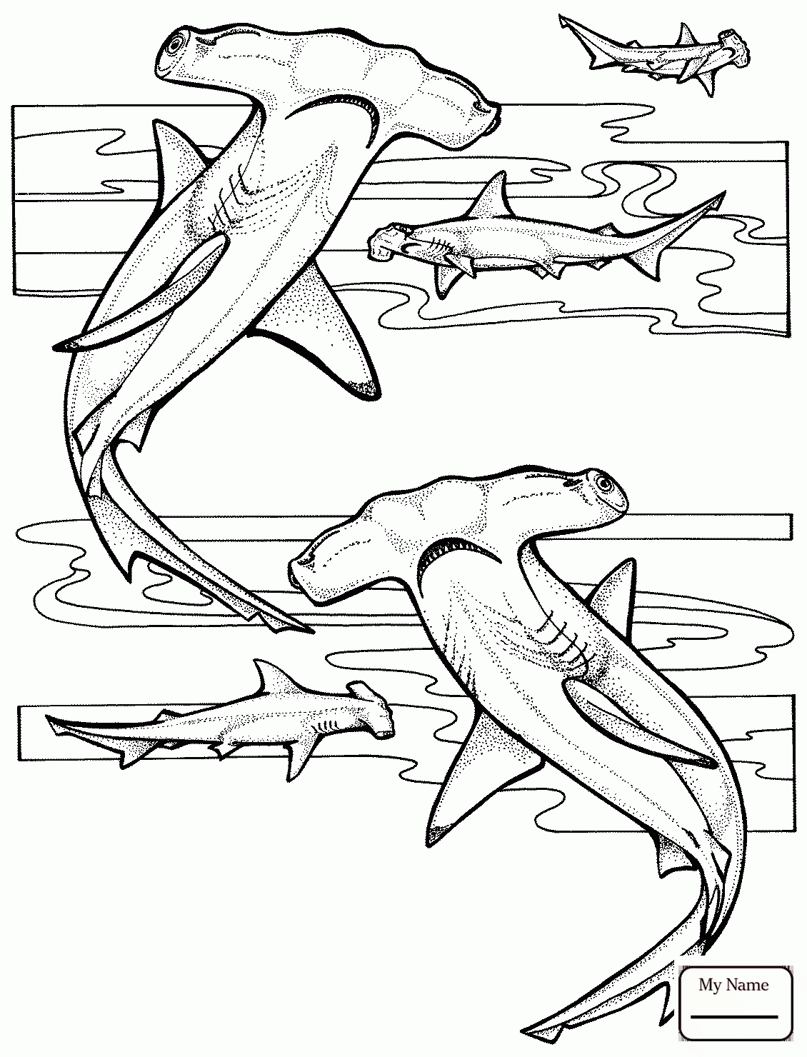 1130x1480 Fish Great Hammerhead Shark Hammerhead Shark Coloring Pages