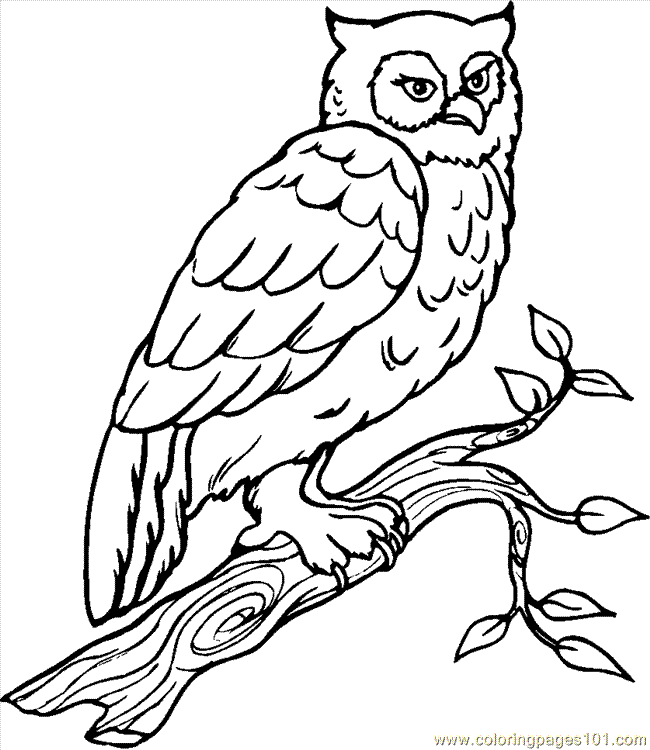 650x750 Great Horned Owl Coloring Pages
