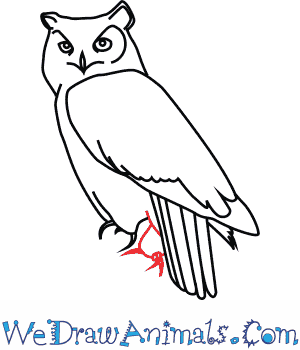 300x350 How To Draw A Great Horned Owl