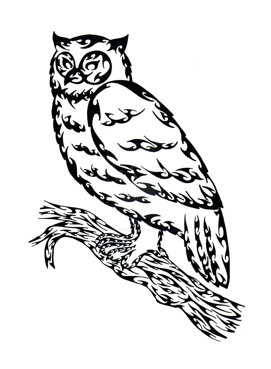 900x1222 Coloring Great Horned Owl Coloring Page Pages Draw An Pictures