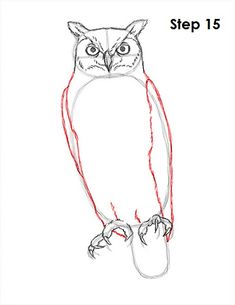 235x305 How To Draw A Great Horned Owl Step 4 Chicken And Bird Drawings