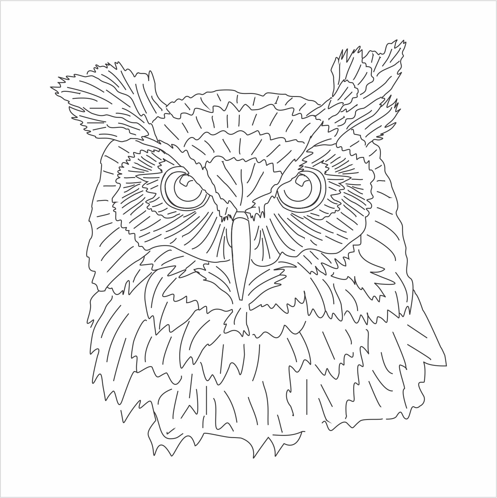 1627x1628 Great Horned Owl