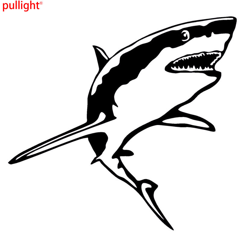 Great White Shark Outline Drawing at PaintingValley.com | Explore ...