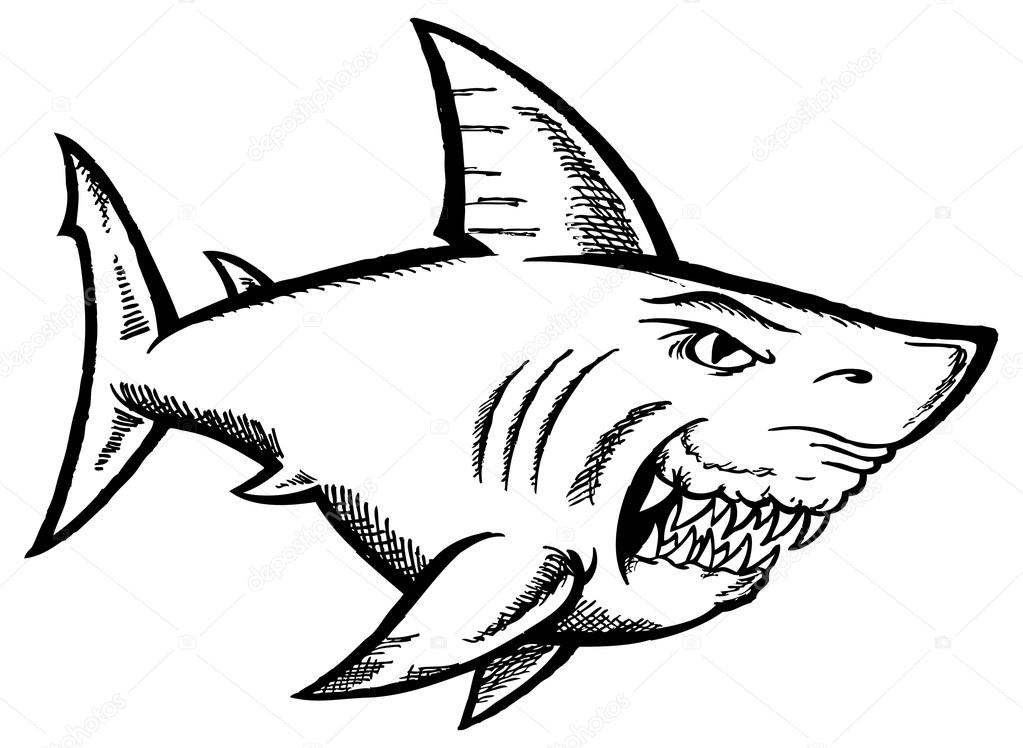 1023x748 Great White Shark Stock Vector Scotferdon