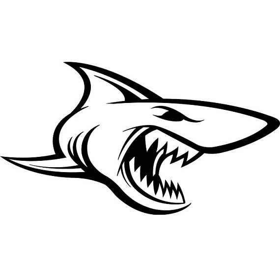 Great White Drawing at GetDrawings | Free download