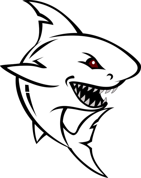 556x700 Angry Shark Cartoon Sketch Wall Mural We Live To Change