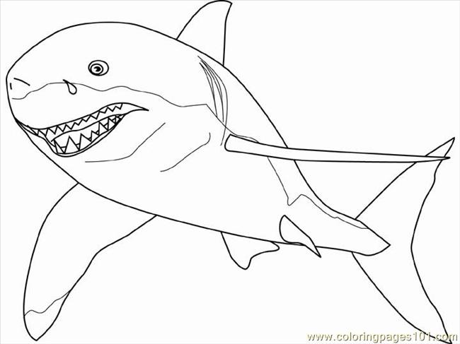 650x487 Coloring Pages Impressive Shark Images To Color Morphle Cartoon