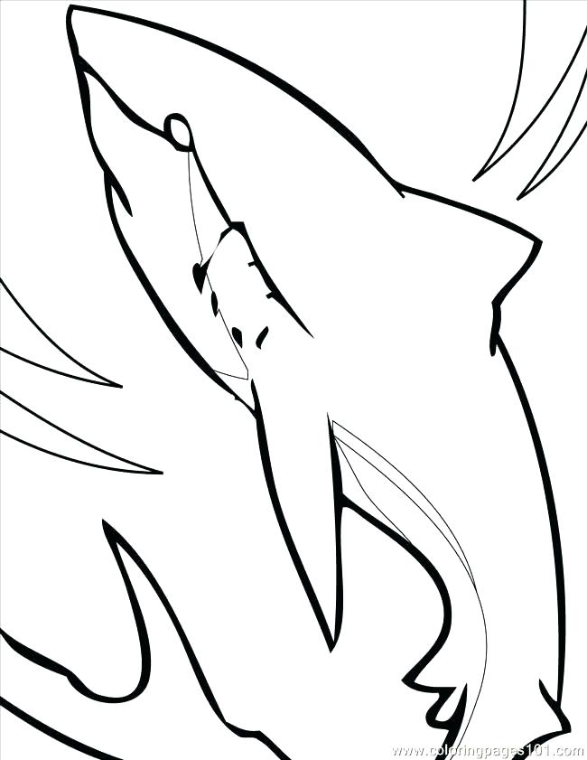 650x841 Great White Shark Coloring Pages Plus Great White Shark Coloring