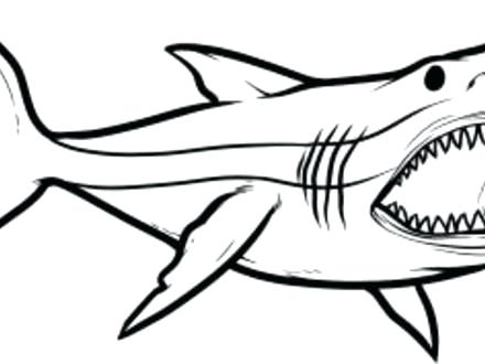 440x330 Megalodon Shark Coloring Pages The Most Elegant Shark Coloring Web