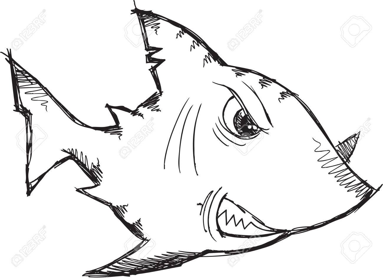 1300x944 Sketch Doodle Drawing Shark Vector Art Royalty Free Cliparts