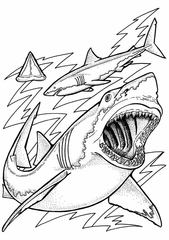 595x842 Under The Sea Coloring Pages Great White Shark