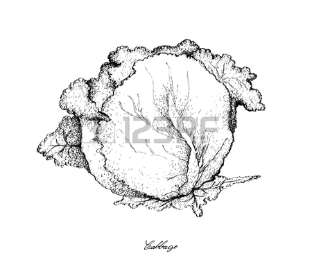 450x375 1,087 Green Leaves And Pill Cliparts, Stock Vector And Royalty