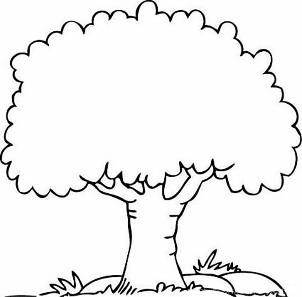 1000x983 Lovely Trees Coloring Pages 53 About Remodel Seasonal Colouring