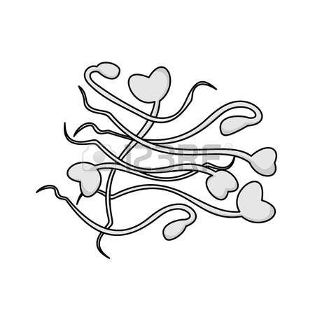 450x450 Green Beans Royalty Free Cliparts, Vectors, And Stock Illustration