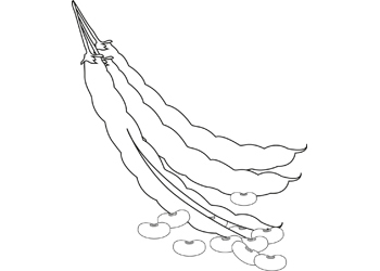 350x250 Art Activities