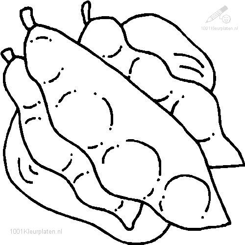 500x500 Bean Coloring Pages