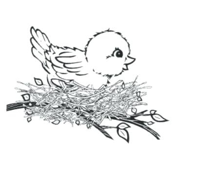 421x356 Baby Bird Coloring Pages
