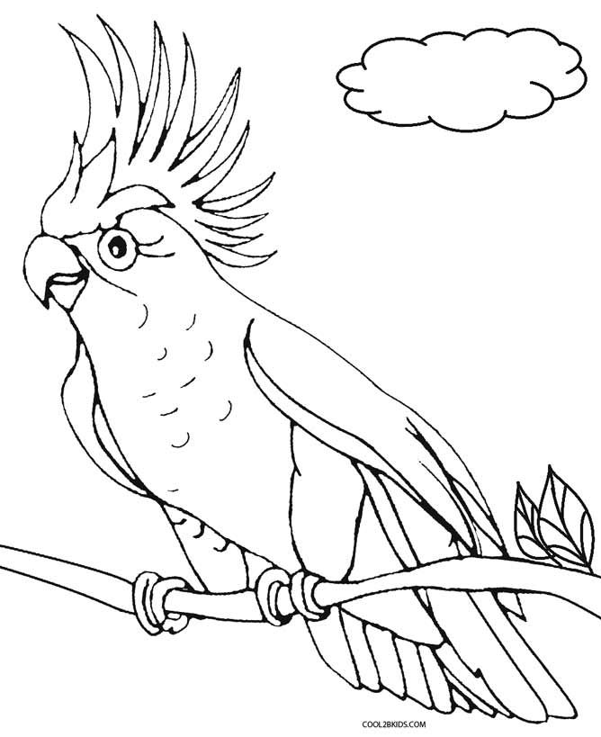 668x819 Printable Parrot Coloring Pages For Kids Cool2bkids Birds