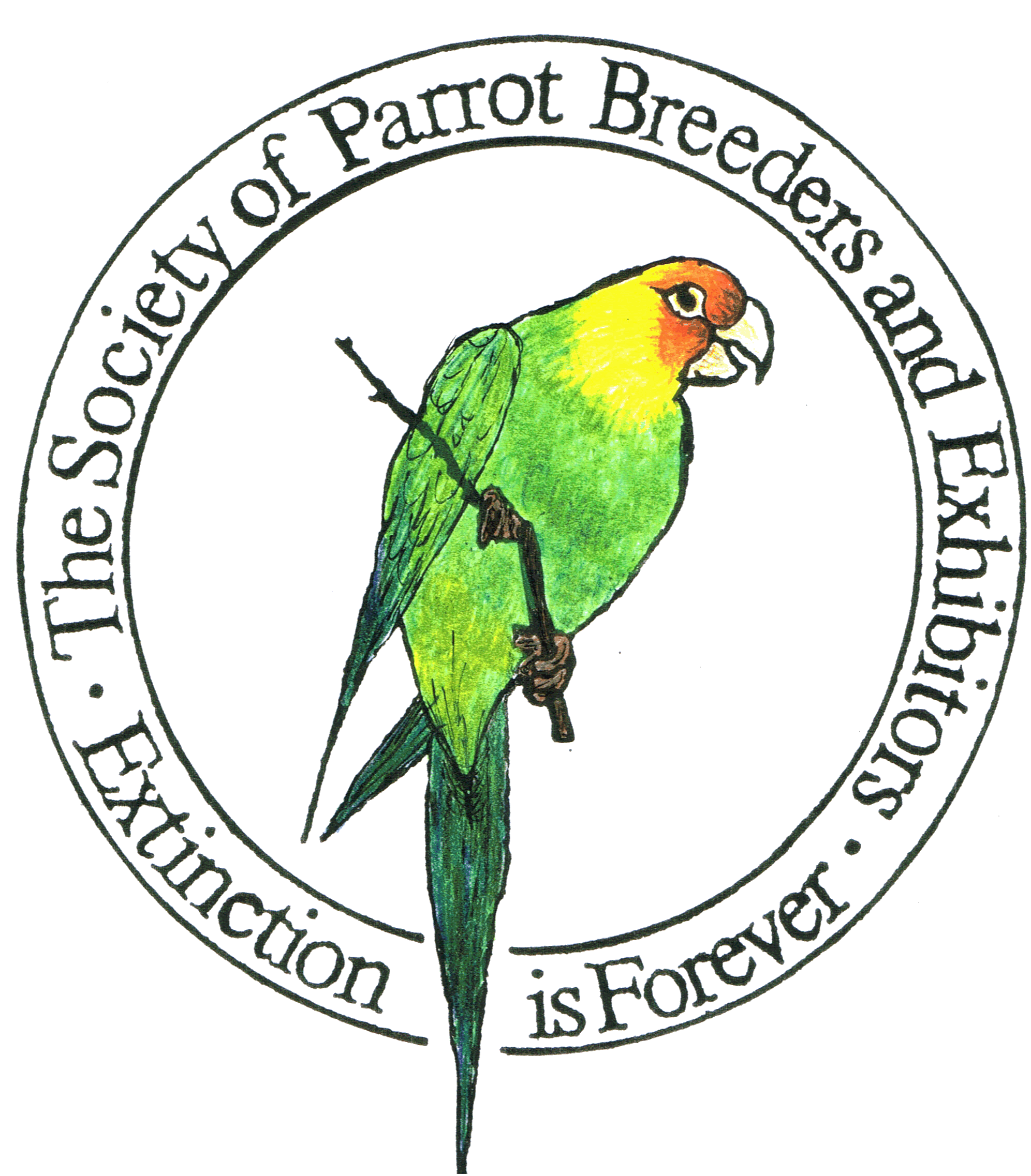 1992x2274 Spbe 2016 Show Calendar