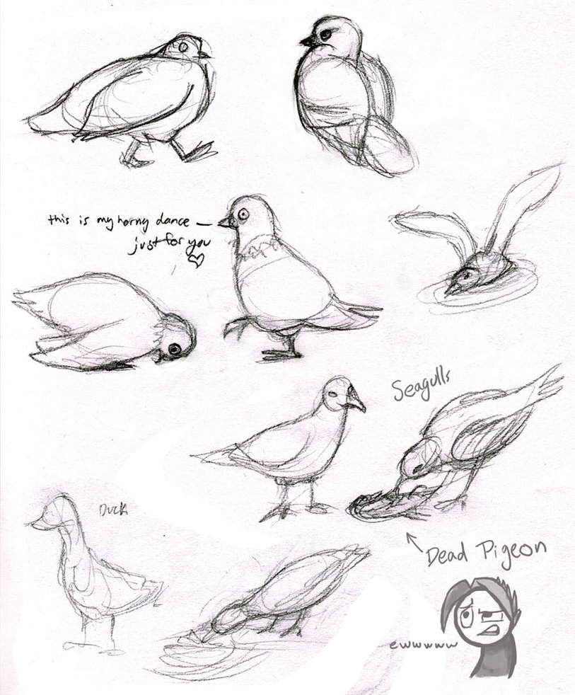 813x982 Bird Gestures By Angry Green Toast