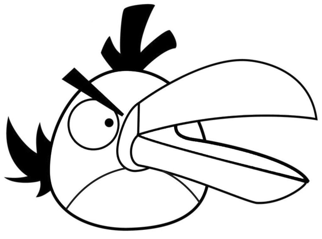 1024x760 Angry Birds Space Green Bird Coloring Pages Fitfru Style Angry