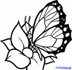 236x229 How To Draw A Butterfly On A Flower, Butterfly And Flower, Step By