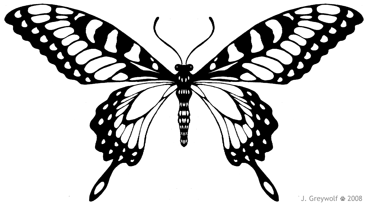 1188x660 Butterflyblack.gif