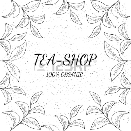 450x450 Green Tea Leaf Illustration, Branch Organic Hand Drawing Sketch