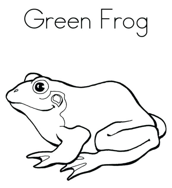 580x634 Frog Coloring Pages Green Frog Coloring Page Media