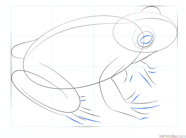 775x575 How To Draw A Leaf Green Tree Frog Step By Step Drawing Tutorials