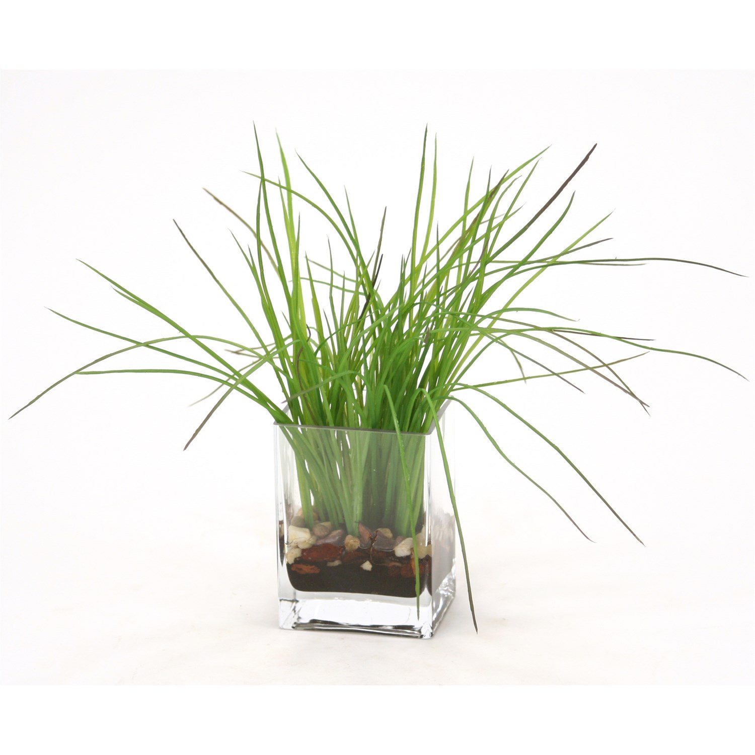 1500x1500 Distinctive Designs 16230 Waterlook Green Grass With Soil