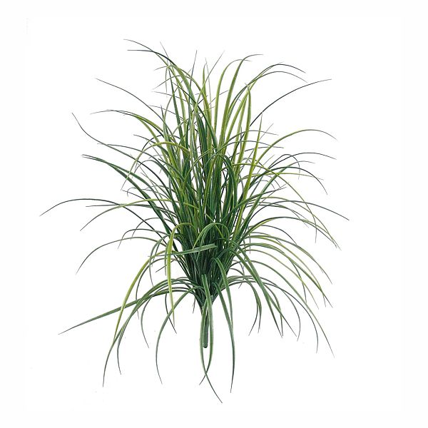 600x600 33 In. Poly Grass Bush X7 Green