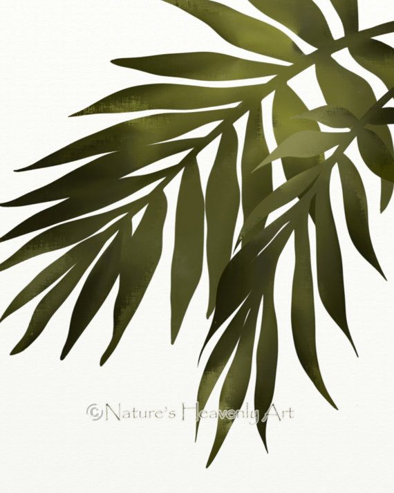 570x713 22 Best Tropical Leaves Images On Tropical Leaves